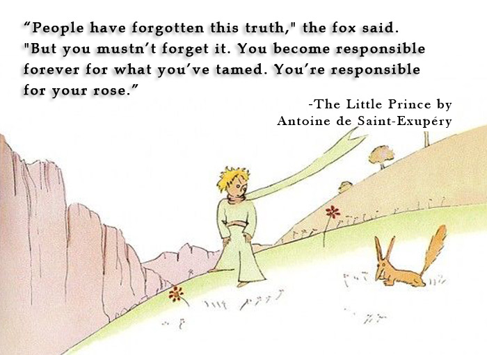 The Little Prince and the fox Quotes images