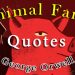 Animal Farm / Quotes